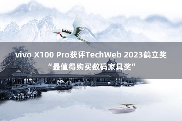 vivo X100 Pro获评TechWeb 2023鹤立奖“最值得购买数码家具奖”
